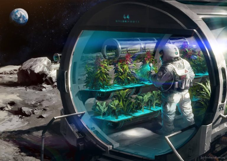 Farming Among the Stars – Growing Space Gardens
